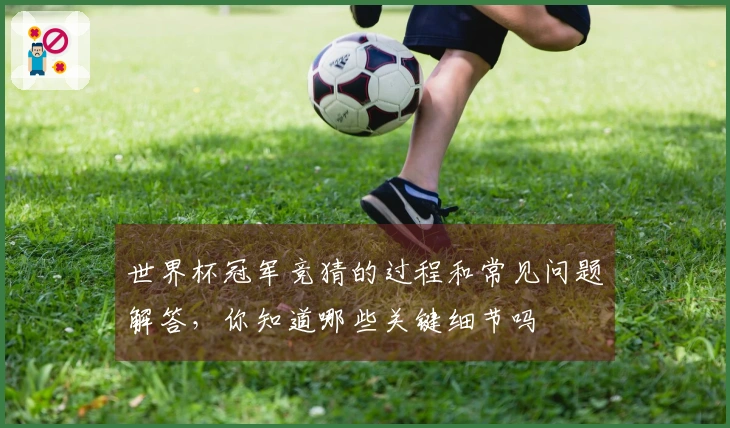 世界杯冠军竞猜的过程和常见问题解答，你知道哪些关键细节吗