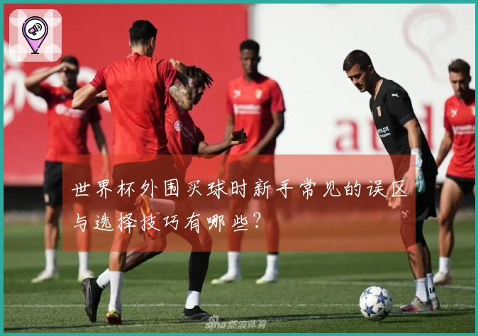世界杯外围买球时新手常见的误区与选择技巧有哪些？