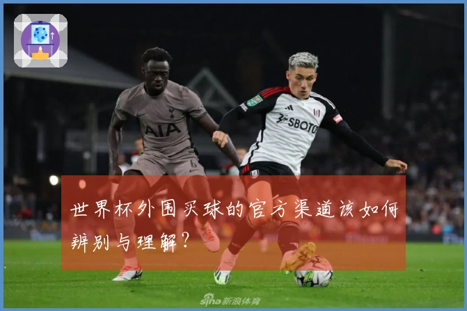 世界杯外围买球的官方渠道该如何辨别与理解？