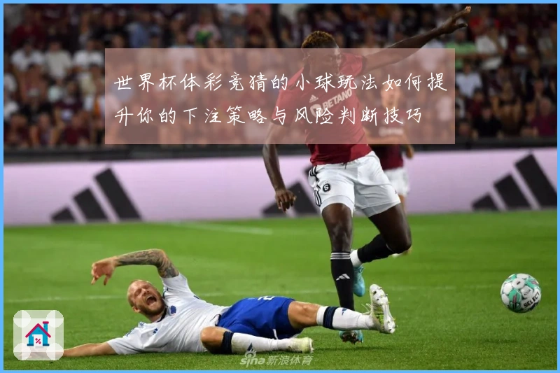 世界杯体彩竞猜的小球玩法如何提升你的下注策略与风险判断技巧