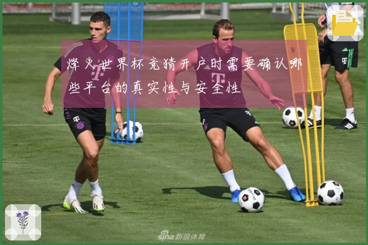 烽火世界杯竞猜开户时需要确认哪些平台的真实性与安全性