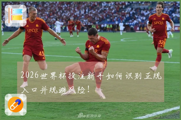 2026世界杯投注新手如何识别正规入口并规避风险！