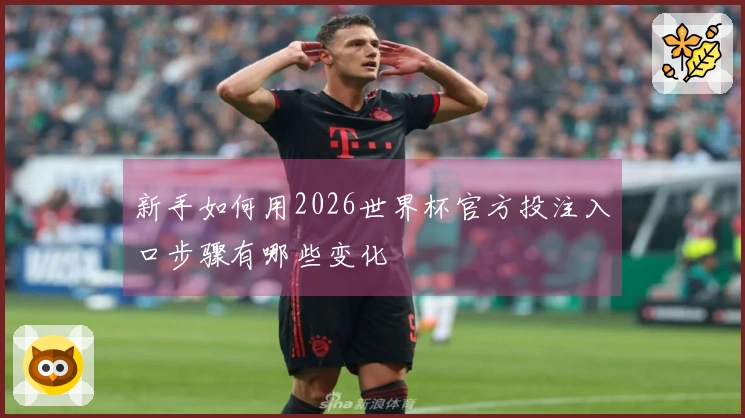 新手如何用2026世界杯官方投注入口步骤有哪些变化