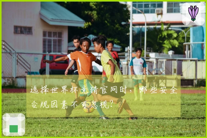 选择世界杯竞猜官网时，哪些安全合规因素不可忽视？