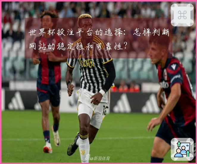 世界杯投注平台的选择：怎样判断网站的稳定性和可靠性？