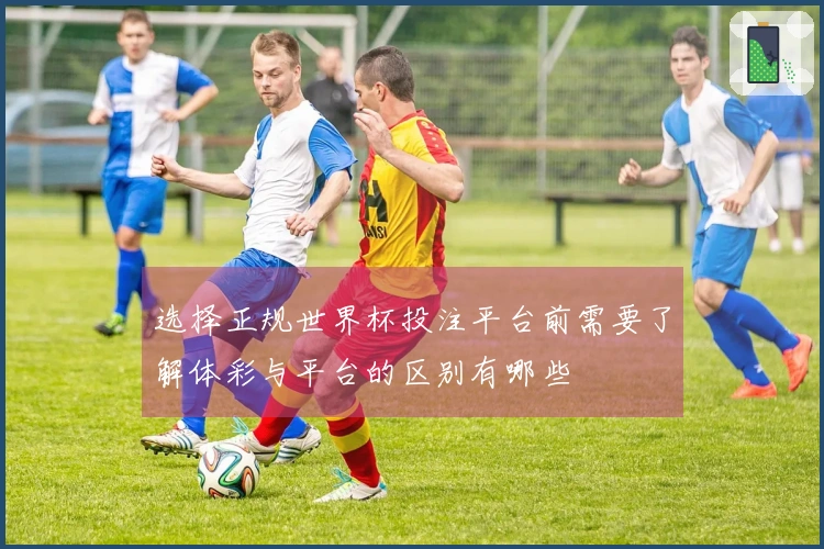 选择正规世界杯投注平台前需要了解体彩与平台的区别有哪些