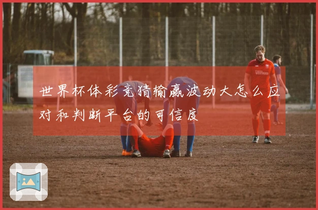 世界杯体彩竞猜输赢波动大怎么应对和判断平台的可信度