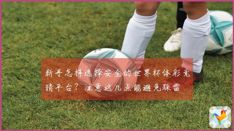 新手怎样选择安全的世界杯体彩竞猜平台？注意这几点能避免踩雷