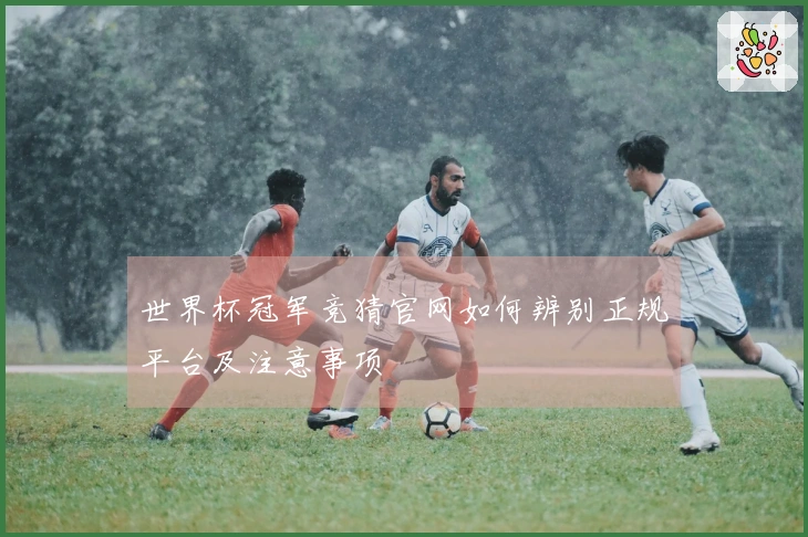 世界杯冠军竞猜官网如何辨别正规平台及注意事项