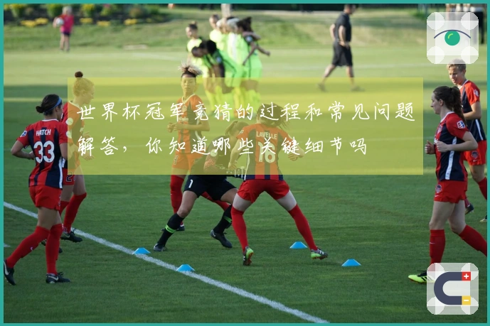 世界杯冠军竞猜的过程和常见问题解答，你知道哪些关键细节吗
