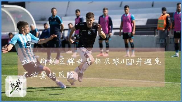 如何辨别正牌世界杯买球app并避免不必要的风险