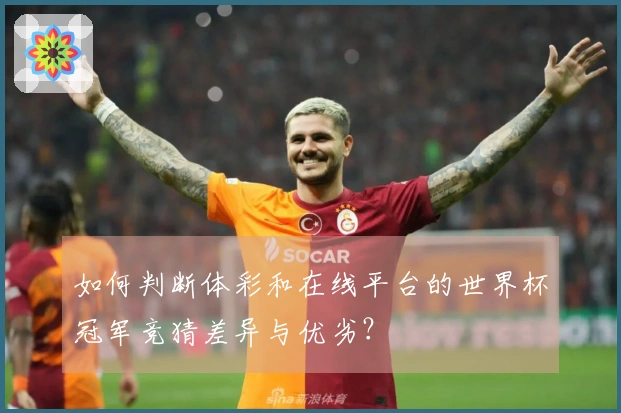 如何判断体彩和在线平台的世界杯冠军竞猜差异与优劣？