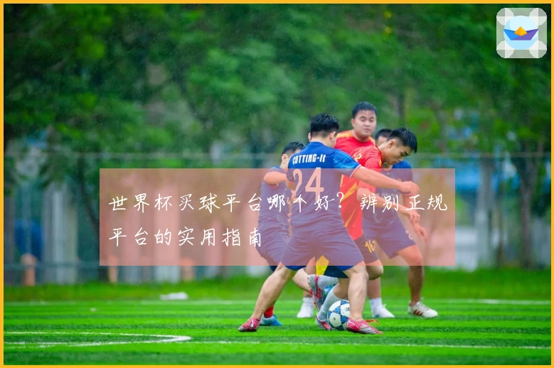 世界杯买球平台哪个好？辨别正规平台的实用指南