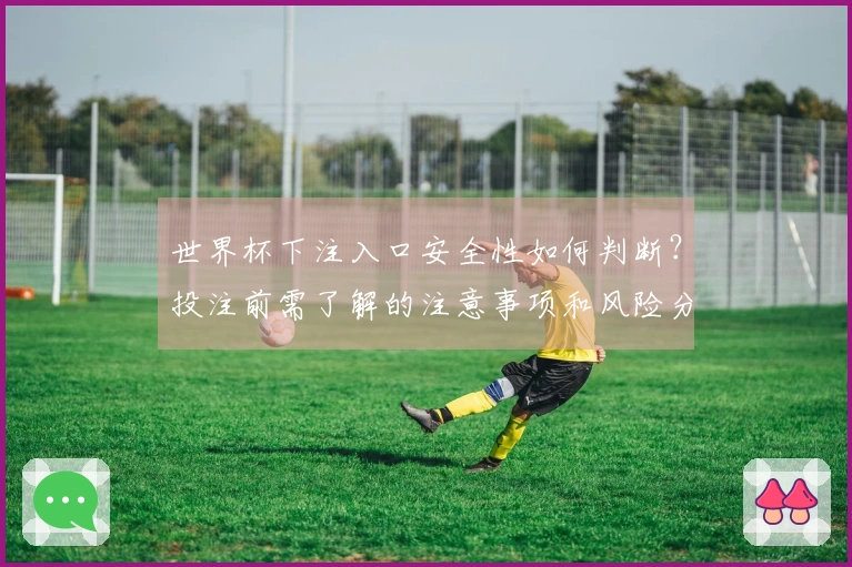 世界杯下注入口安全性如何判断？投注前需了解的注意事项和风险分析
