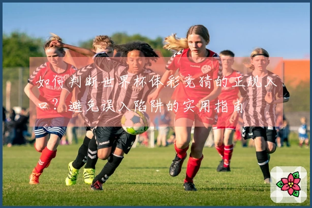 如何判断世界杯体彩竞猜的正规入口？避免误入陷阱的实用指南
