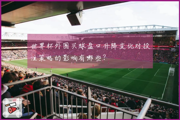 世界杯外围买球盘口升降变化对投注策略的影响有哪些？