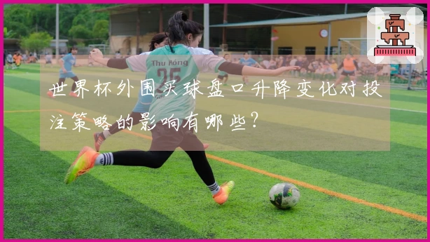 世界杯外围买球盘口升降变化对投注策略的影响有哪些？