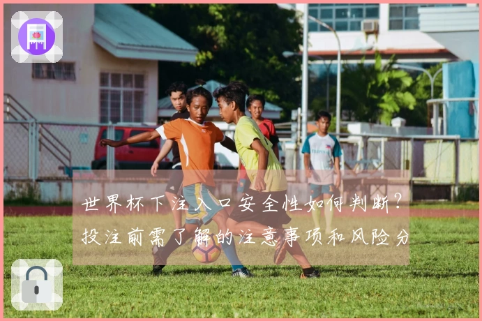 世界杯下注入口安全性如何判断？投注前需了解的注意事项和风险分析
