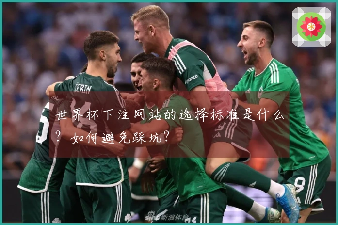 世界杯下注网站的选择标准是什么？如何避免踩坑？